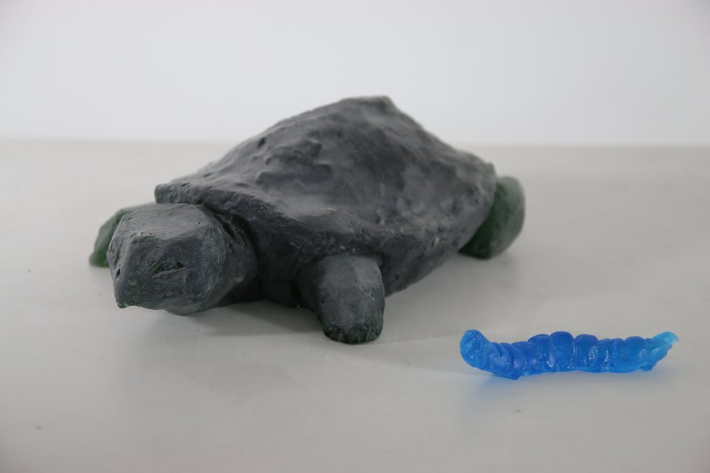 Blick in die Ausstellung "Expeditionen im Augenblick", Foto: Esther Hoyer