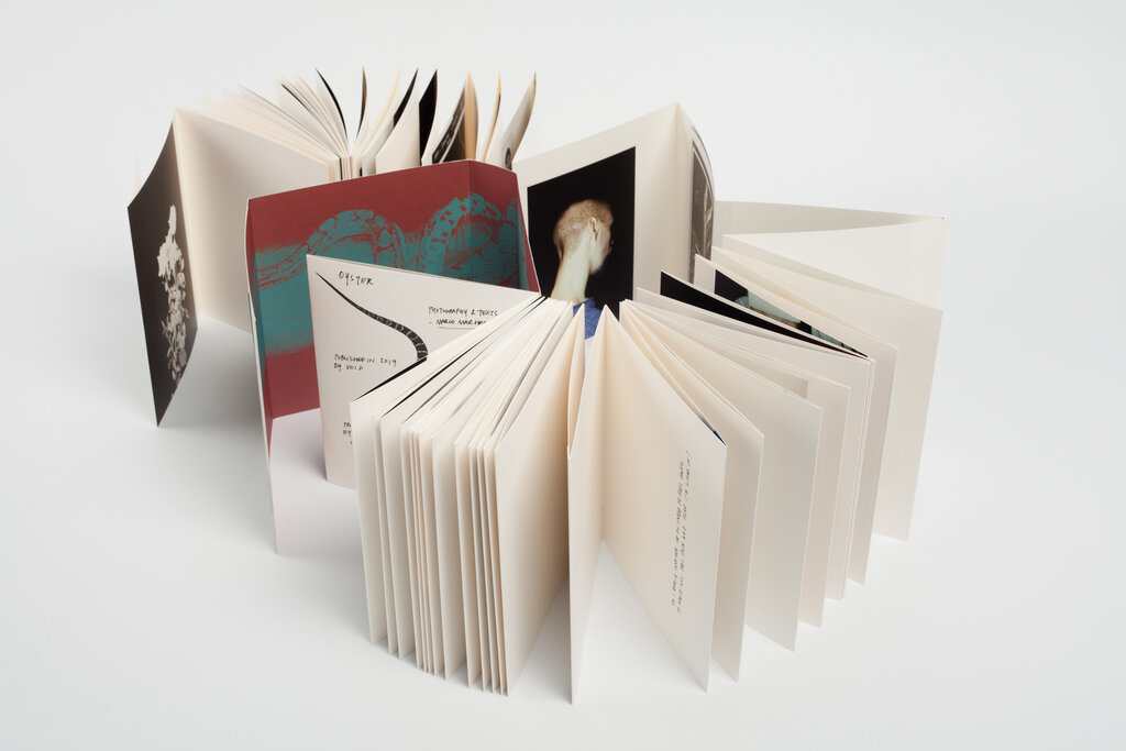 Marco Marzocchi_Oyster, Void publishing, 2019